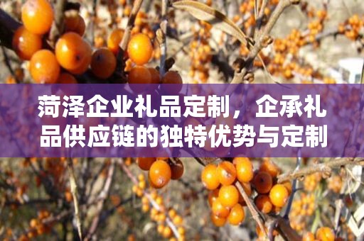 菏泽企业礼品定制，企承礼品供应链的独特优势与定制之旅