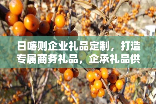 日喀则企业礼品定制，打造专属商务礼品，企承礼品供应链助力企业发展