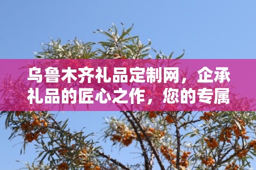 乌鲁木齐礼品定制网，企承礼品的匠心之作，您的专属定制专家