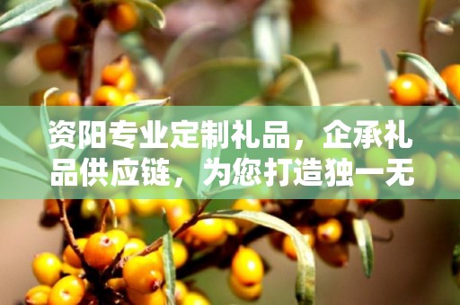资阳专业定制礼品，企承礼品供应链，为您打造独一无二的礼品体验