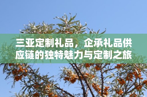 三亚定制礼品，企承礼品供应链的独特魅力与定制之旅