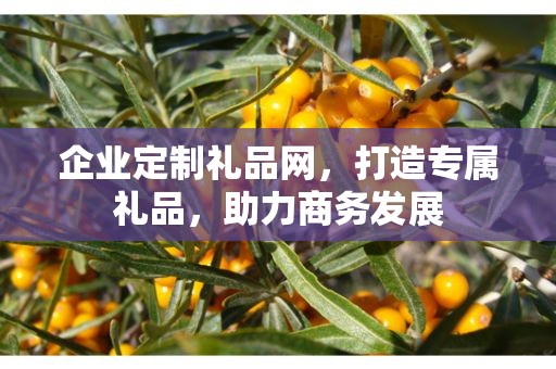 企业定制礼品网，打造专属礼品，助力商务发展