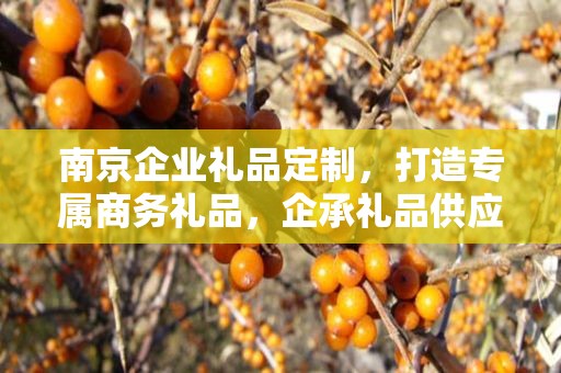 南京企业礼品定制，打造专属商务礼品，企承礼品供应链助力企业尊享定制服务