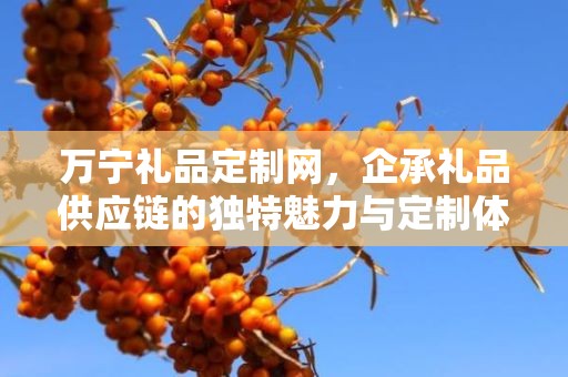 万宁礼品定制网，企承礼品供应链的独特魅力与定制体验