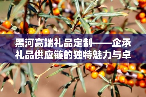 黑河高端礼品定制——企承礼品供应链的独特魅力与卓越服务