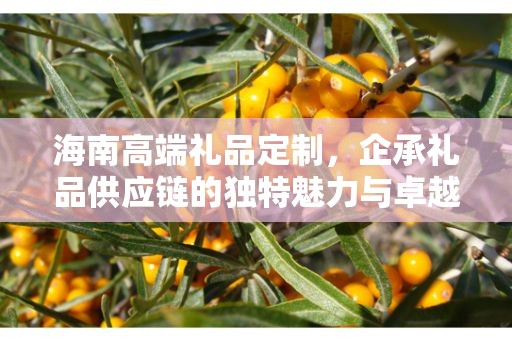 海南高端礼品定制，企承礼品供应链的独特魅力与卓越服务