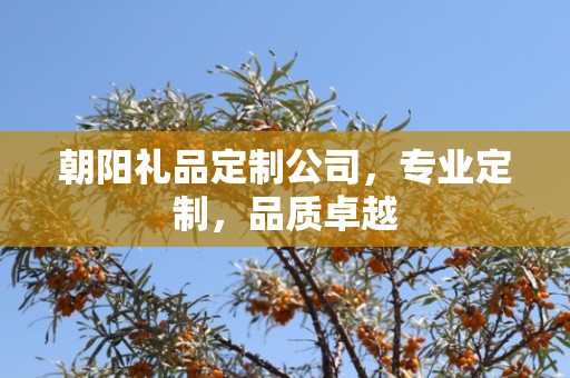 朝阳礼品定制公司，专业定制，品质卓越