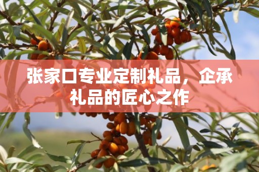 张家口专业定制礼品，企承礼品的匠心之作