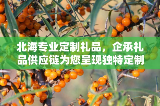 北海专业定制礼品，企承礼品供应链为您呈现独特定制体验