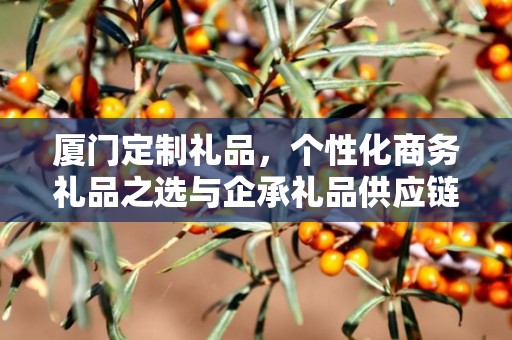 厦门定制礼品，个性化商务礼品之选与企承礼品供应链的独特优势