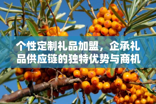 个性定制礼品加盟，企承礼品供应链的独特优势与商机探索