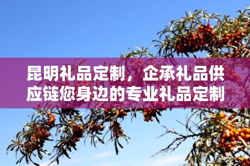 昆明礼品定制，企承礼品供应链您身边的专业礼品定制公司