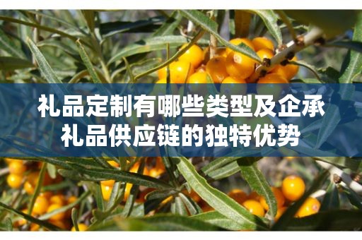 礼品定制有哪些类型及企承礼品供应链的独特优势