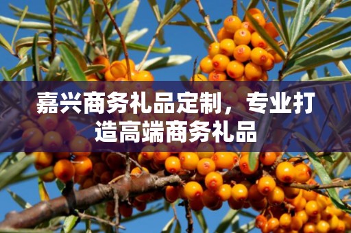 嘉兴商务礼品定制，专业打造高端商务礼品