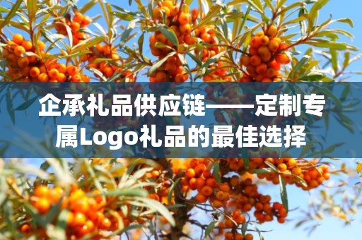 企承礼品供应链——定制专属Logo礼品的最佳选择