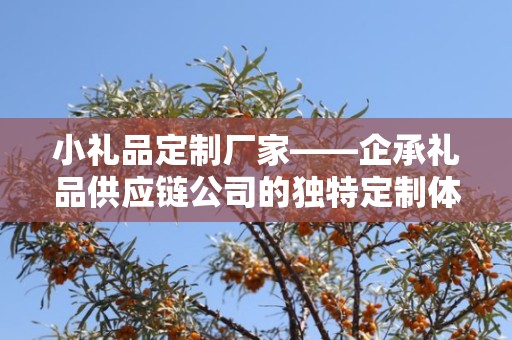 小礼品定制厂家——企承礼品供应链公司的独特定制体验