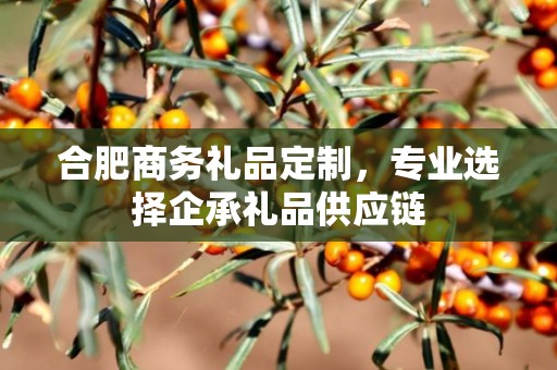 合肥商务礼品定制，专业选择企承礼品供应链